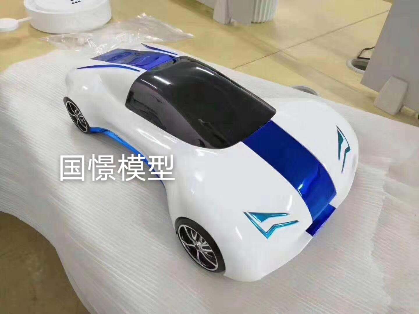 阳新县车辆模型